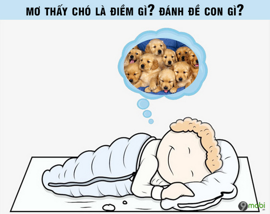 Nằm mơ bị chó cắn