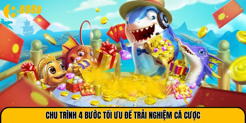Chu trình 4 bước tối ưu để trải nghiệm cá cược